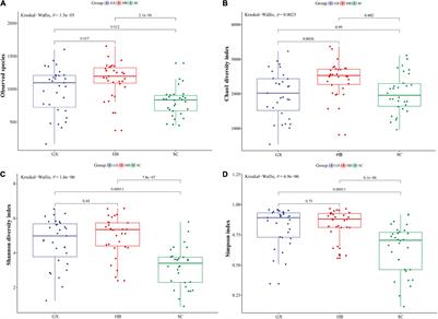 Bacterial Communities and Prediction of Microbial Metabolic Pathway in Rice Wine Koji From Different Regions in China